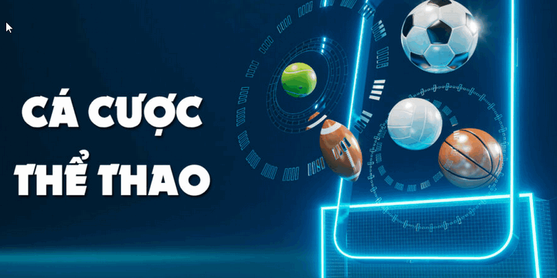 Đặt cược bóng đá