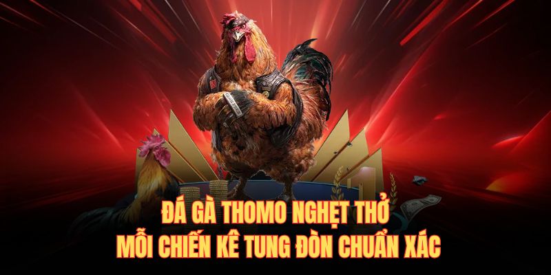 Đá gà thomo